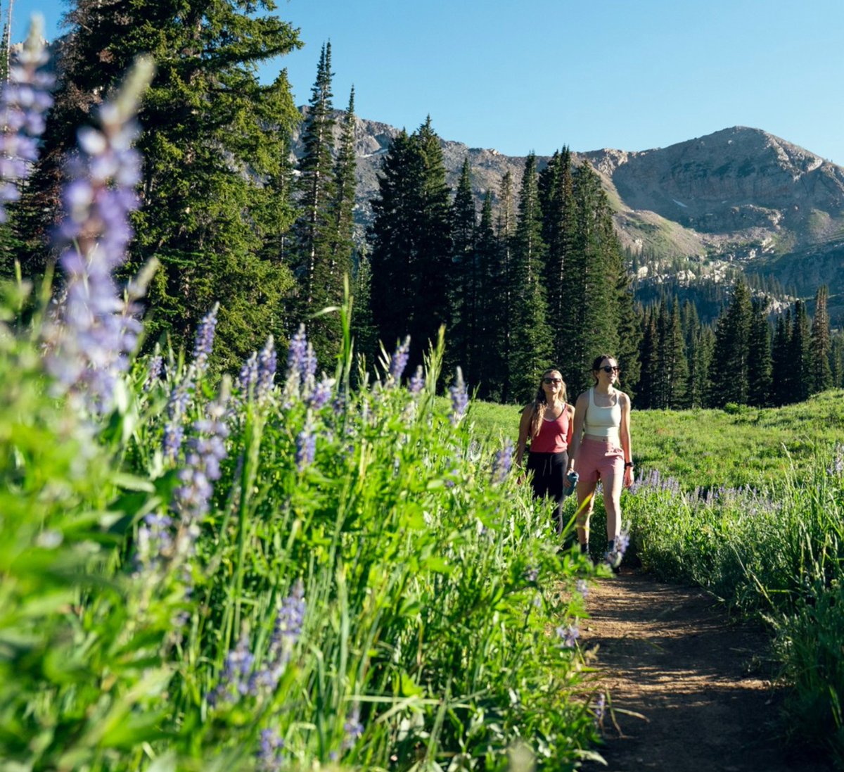 All you need to know about summer at Utah's resorts 😎  bit.ly/463qOIi