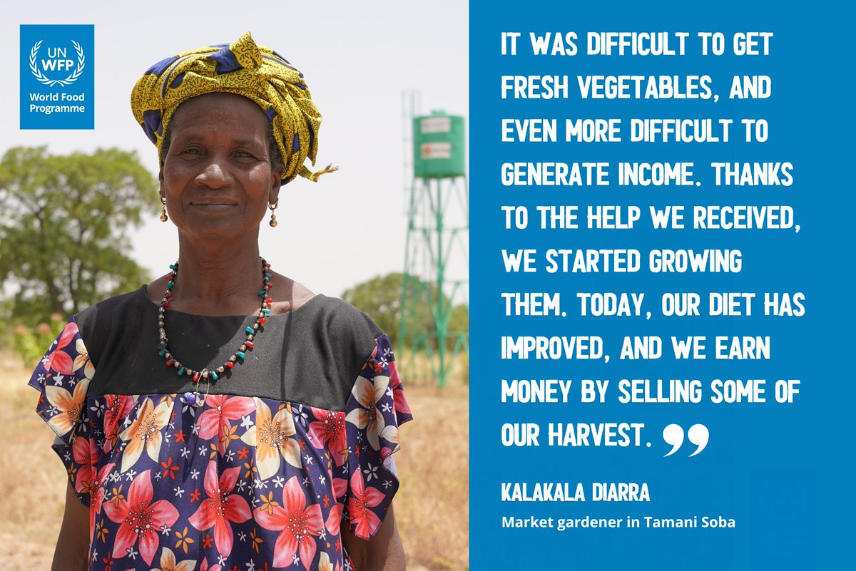 WFP Mali (@wfp_mali) on Twitter photo 🇲🇱 “Before, no fresh veggies or income. Now we grow them, raise🐐, eat better and earn money,” says Kalakala.
Thanks to tremendous support from <a href="/BMZ_Bund/">Bundesentwicklungsministerium</a> 🇩🇪 and the European Union 🇪🇺, families in #TamaniSoba face challenges with dignity, feeding their kids & sending them to🏫. 🇲🇱 “Before, no fresh veggies or income. Now we grow them, raise🐐, eat better and earn money,” says Kalakala.
Thanks to tremendous support from <a href="/BMZ_Bund/">Bundesentwicklungsministerium</a> 🇩🇪 and the European Union 🇪🇺, families in #TamaniSoba face challenges with dignity, feeding their kids & sending them to🏫.