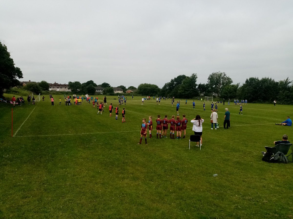 treuchafprimary tweet media