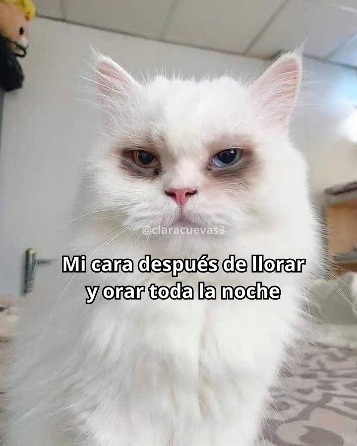 memes cristianos (@post_cristiano) on Twitter photo 