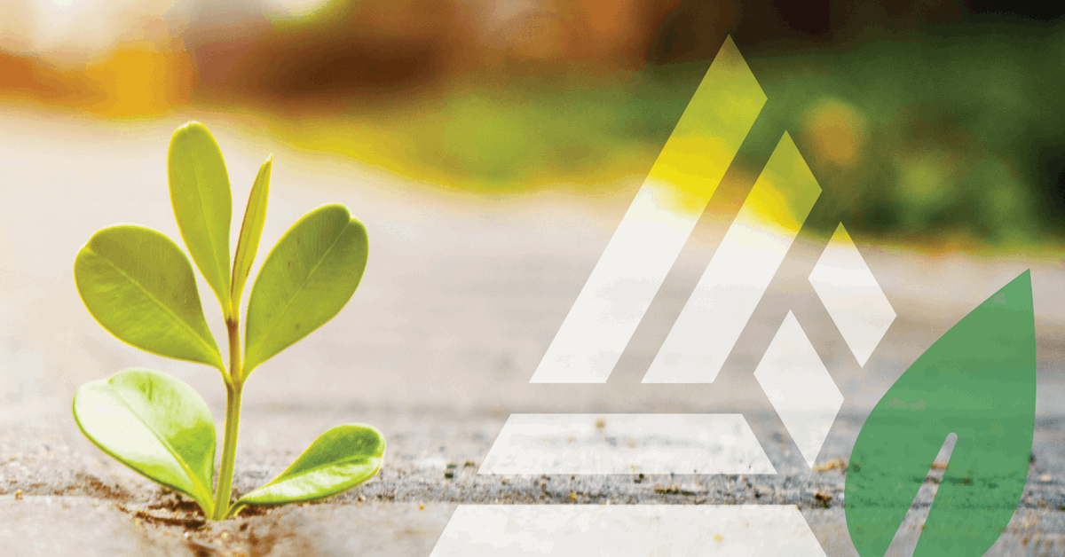 CRITPAServices's tweet photo. Choosing your first retirement plan? Our side-by-side chart shows contributions, employer match rules, and filing obligations.

Download now: https://t.co/UV6SLdHqhA

#CRITPA #RetirementPlans #RetirementPlanning #EmployerContributions https://t.co/QFnRHaFTz2