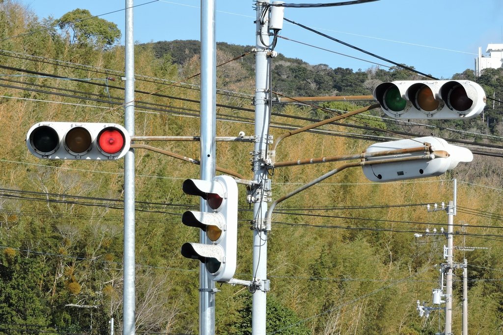 SIGNET_moririn's tweet image. 信号のなる木