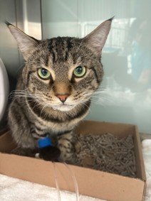 Jack5928 tweet media