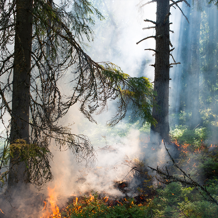 haleywright864's tweet photo. To file a claim after the recent #wildfire, call 800-547-8676 or visit https://t.co/IfARDOzfbw. We will be here for you. https://t.co/9dn5Bmo3lL