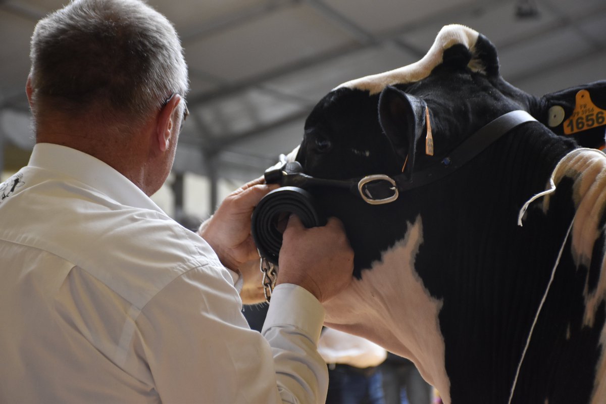 ☀️ L’été arrive sur les fermes !
C’est la saison des foins, des pâturages pleins, du travail sous le soleil…
Et c’est aussi une étape de plus vers Tech Élevage 2025 ! Plus que 152 jours !
#ÉtéAgri #TechElevage #VieRurale