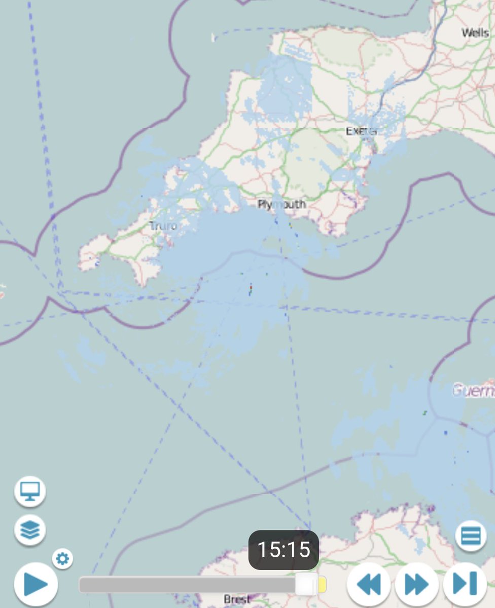 Flying ants maybe? It definitely isn't raining!