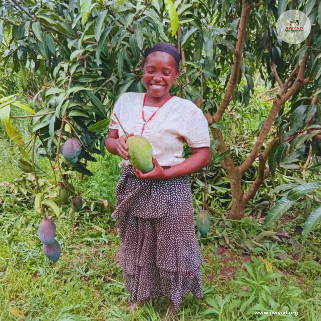 AWYAD_UG's tweet image. Meet Clare Kamusiime, a strong woman living in Kyamagabo in the Kyaka II. 
She received fruit tree seedlings from AWYAD under the #GFAproject [General Food Assistance] ,supported by @WFP 

With the help of George Sserugo, the Energy and Environment Officer, Clare learned how to…