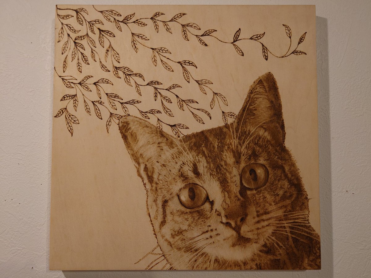 chumiko6's tweet photo. 〜猫猫寺〜開運ミュージアム🔮
ネコちゃんをテーマにした、アートや作品が盛り沢山のスポット🌿見つけちゃいました🤭ネコ好きだけでなく、アート好きにはたまらない場所です。　

開運猫の福ちゃんとも、偶然会うことが出来ちゃった🤭
#猫猫寺
#猫族歴史博物館
#福ちゃん
#猫博
#���都
#左京区
#ネコ耳 https://t.co/Cx0SVVA9ft
