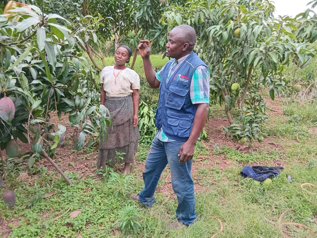 AWYAD_UG's tweet image. Meet Clare Kamusiime, a strong woman living in Kyamagabo in the Kyaka II. 
She received fruit tree seedlings from AWYAD under the #GFAproject [General Food Assistance] ,supported by @WFP 

With the help of George Sserugo, the Energy and Environment Officer, Clare learned how to…