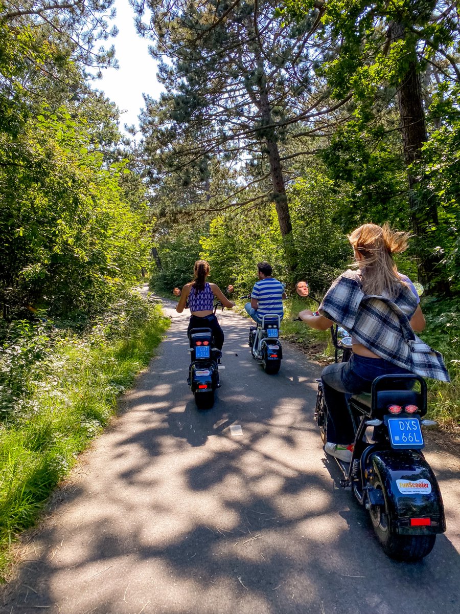 ☀️ Dit weekend wordt het 30°C! Huur een Fun-voertuig bij Have Fun Events en ontdek Noordwijk &amp; de duinen op z’n leukst. Natuur, avontuur en gezelligheid! 🌊🌿

📍 Start: Voorhout
🅿️ Gratis parkeren
☀️ Eindeloos plezier

👉 havefunevents.nl
#Zomeruitje #HaveFunEvents