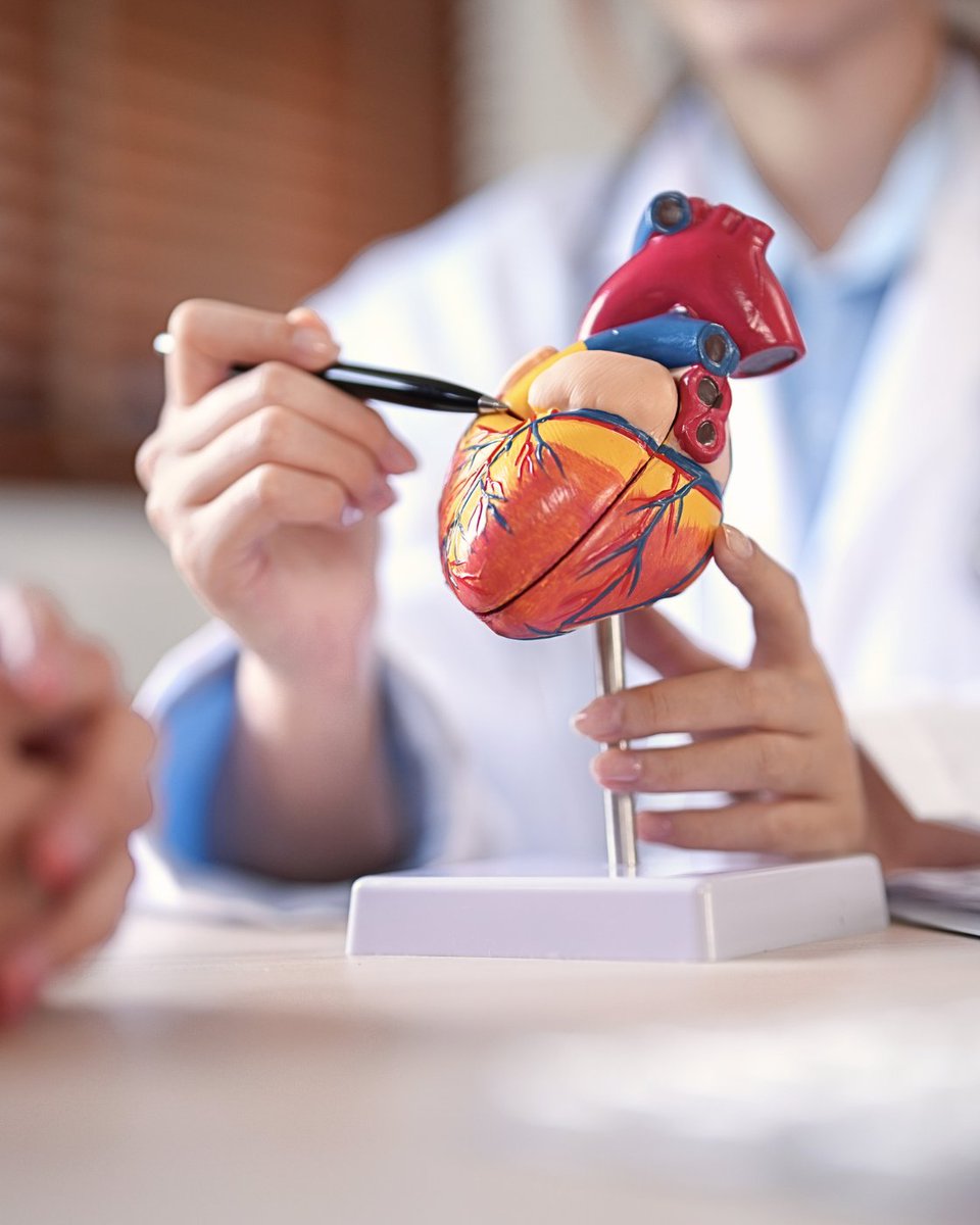 Wie moderne #Medizin Leben rettet, warum #Schweineherzen dabei eine Rolle spielen und was ein #Rückschlagventil mit deinem #Puls zu tun hat – hier erfährst du es 🔗 swissheart.ch/wissen-und-sup…

#herzstiftung #herzmedizin #herzwissen #herzklappe #herzklappenfehler #neueherzklappe