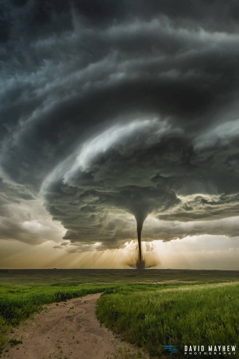 Quite liking the vertical version here. Need to take a break from the screen now though!
June 16th, 2025. Dickens NE