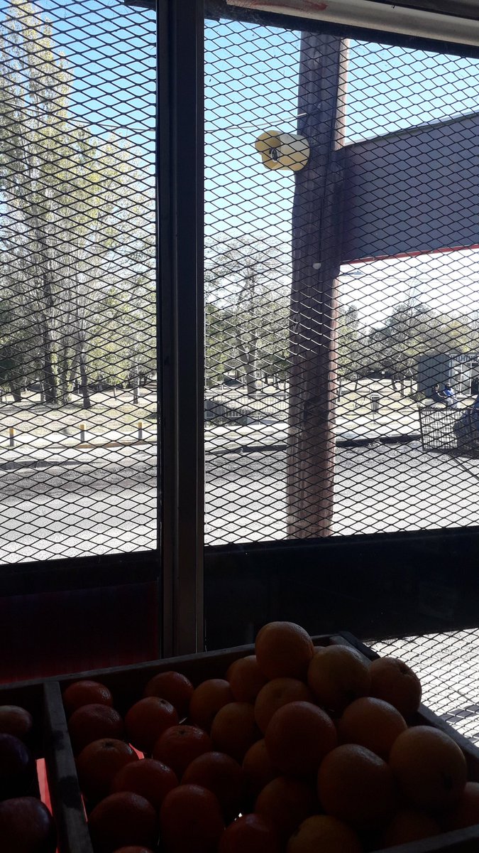 RoomiMattar's tweet photo. @nadiedicenada_  #nadiedicenada Saludos de San Luis, me encanta el pastel de papá agridulce, y muchos lo odian. Saludos de San Luis. https://t.co/QN6GPJw5iK