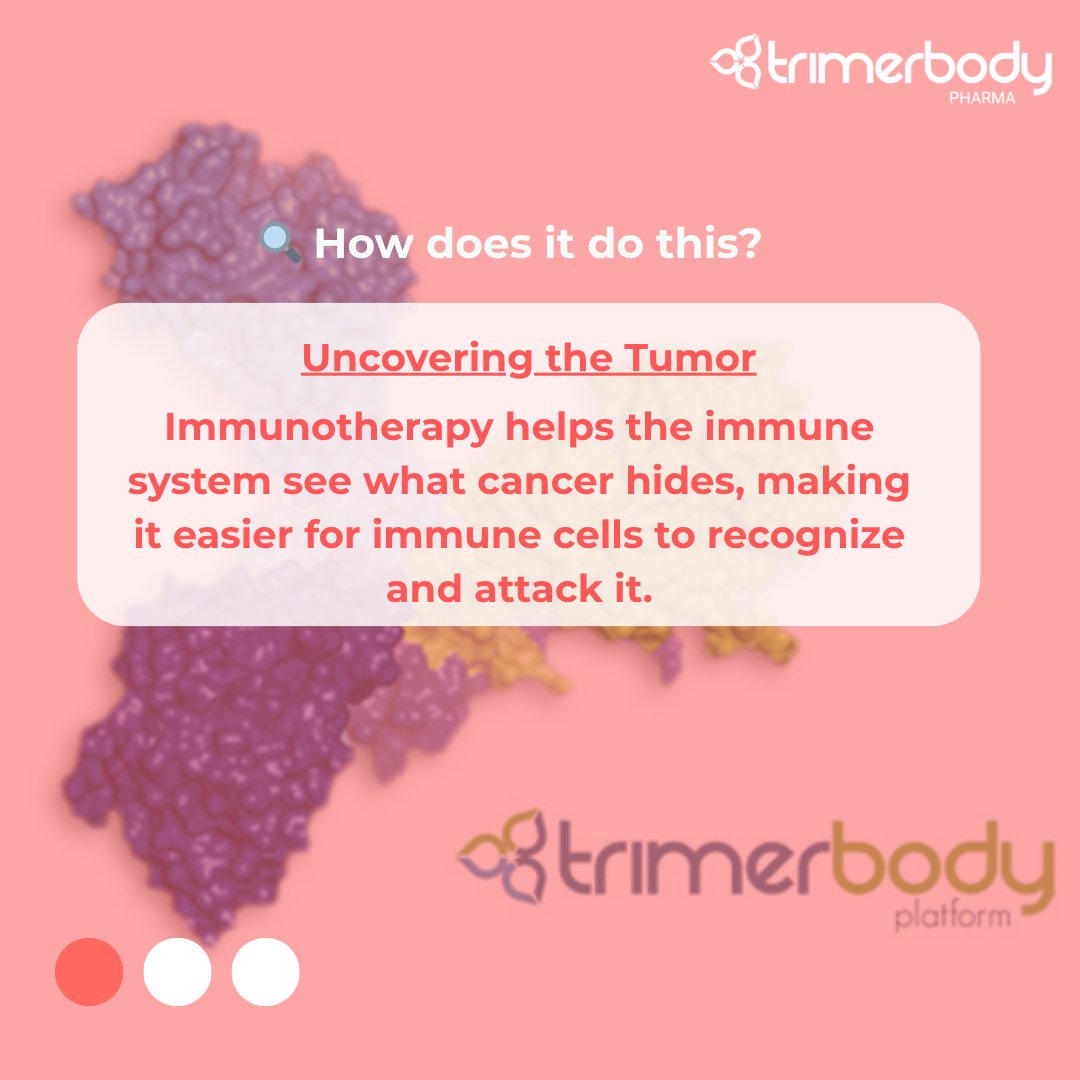 TrimerbodyPh's tweet image. 🧬 How does cancer immunotherapy work? 🤔
Unlike chemotherapy or radiotherapy, which attack tumour cells directly, immunotherapy takes a different approach:
👉 It activates and directs the immune system to recognize and destroy cancer cells.
🔍 Want to know how?