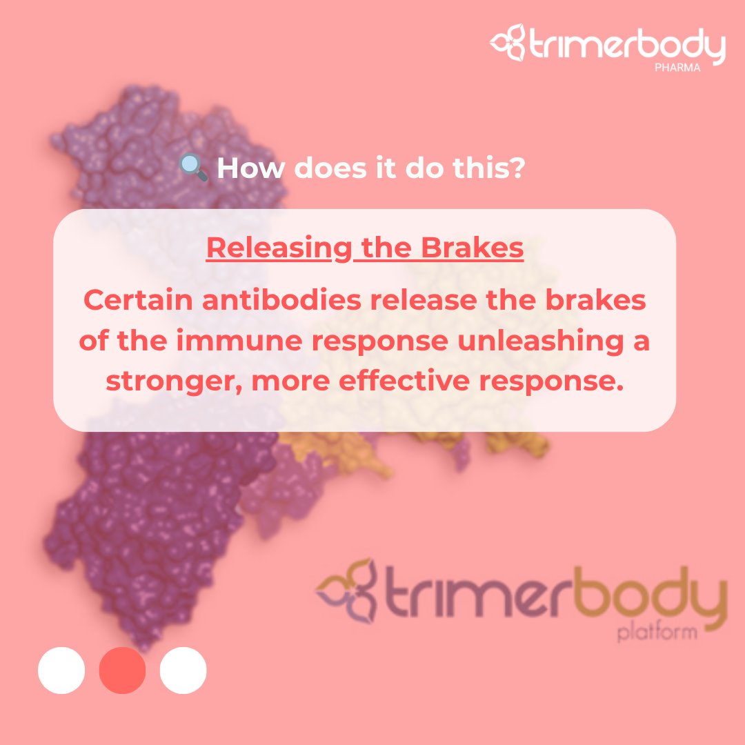 TrimerbodyPh's tweet image. 🧬 How does cancer immunotherapy work? 🤔
Unlike chemotherapy or radiotherapy, which attack tumour cells directly, immunotherapy takes a different approach:
👉 It activates and directs the immune system to recognize and destroy cancer cells.
🔍 Want to know how?