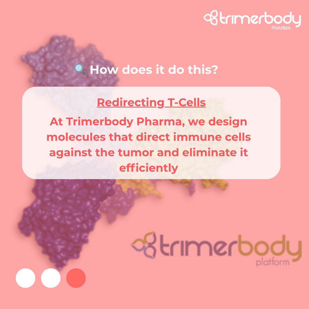 TrimerbodyPh's tweet image. 🧬 How does cancer immunotherapy work? 🤔
Unlike chemotherapy or radiotherapy, which attack tumour cells directly, immunotherapy takes a different approach:
👉 It activates and directs the immune system to recognize and destroy cancer cells.
🔍 Want to know how?