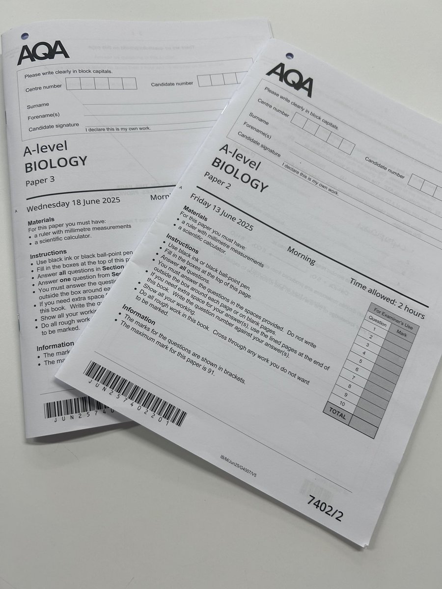 Quick whizz through of these today (my half only). They look pretty nice. Lovely essays. Massive shrimp.