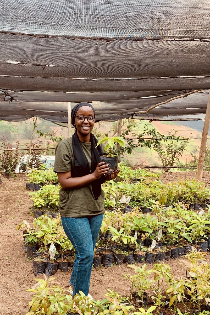 Umutoni Sumayiya tweet media