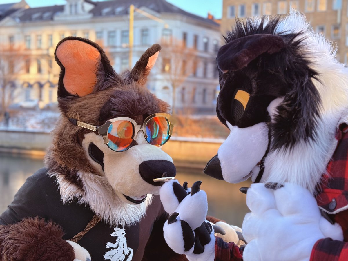 r_toroid's tweet image. What's some bullying between fursuit siblings am i right 😳
📸 @Memburudog
🪡 @T0UGHFLUFF