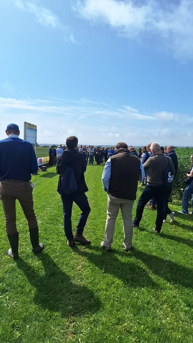 Some of our advisory team attended the Goldcrop Open Day in Shanagarry,on Tuesday.With over 40 crop varieties on display, expert talks &amp;in-depth market outlooks, it truly was a day of learning,networking &amp; knowledge sharing for those in the Agri sector #goldcrop #centenaryagri