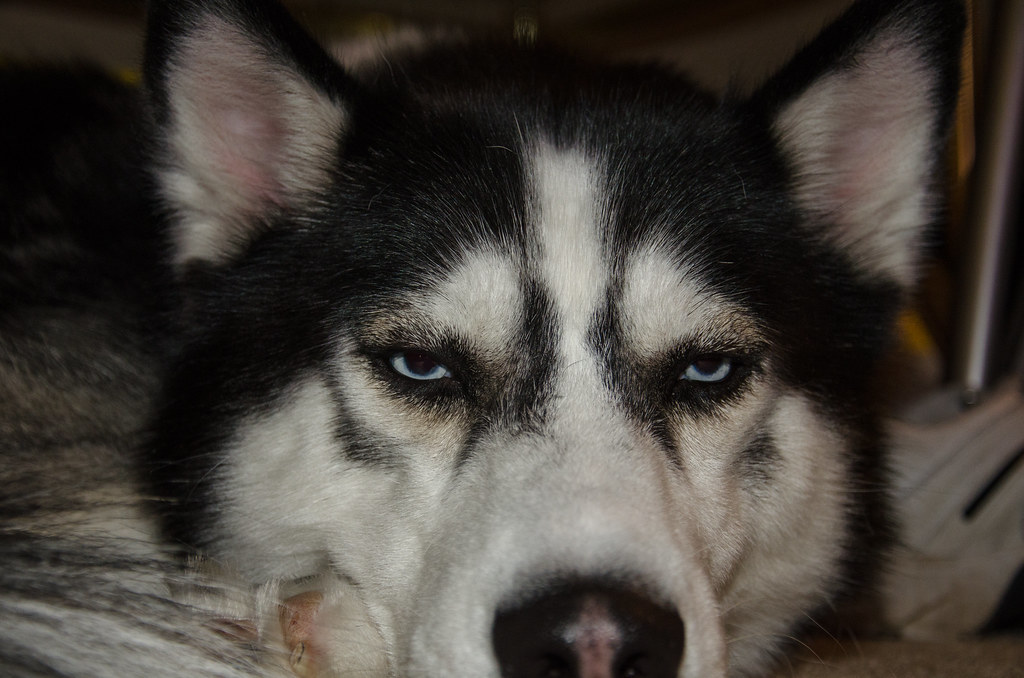 Me to VA: There's a problem! Looks like the alarms are broken!
VA: Can't be, there's no alarms goin off.
Me: