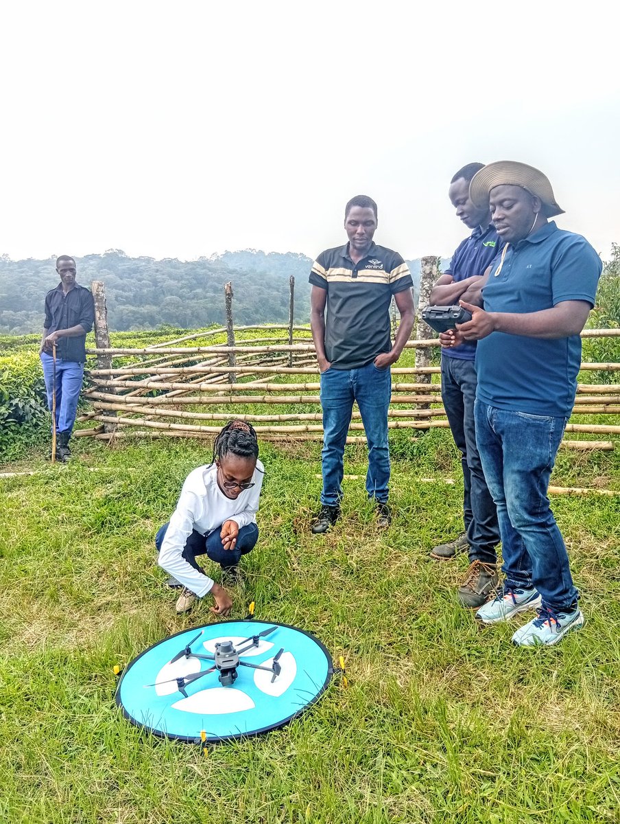 MakCAES's tweet image. HAPPENING TODAY - 19/06/25 at Rwebitaba Tea Research Centre in Fort Portal: the training & launch of drones to be used by PhD & Masters students for data collection under the project "Nature-based Solutions for Climate Resilient Tea Production in Uganda". lnk.ink/I7FFV