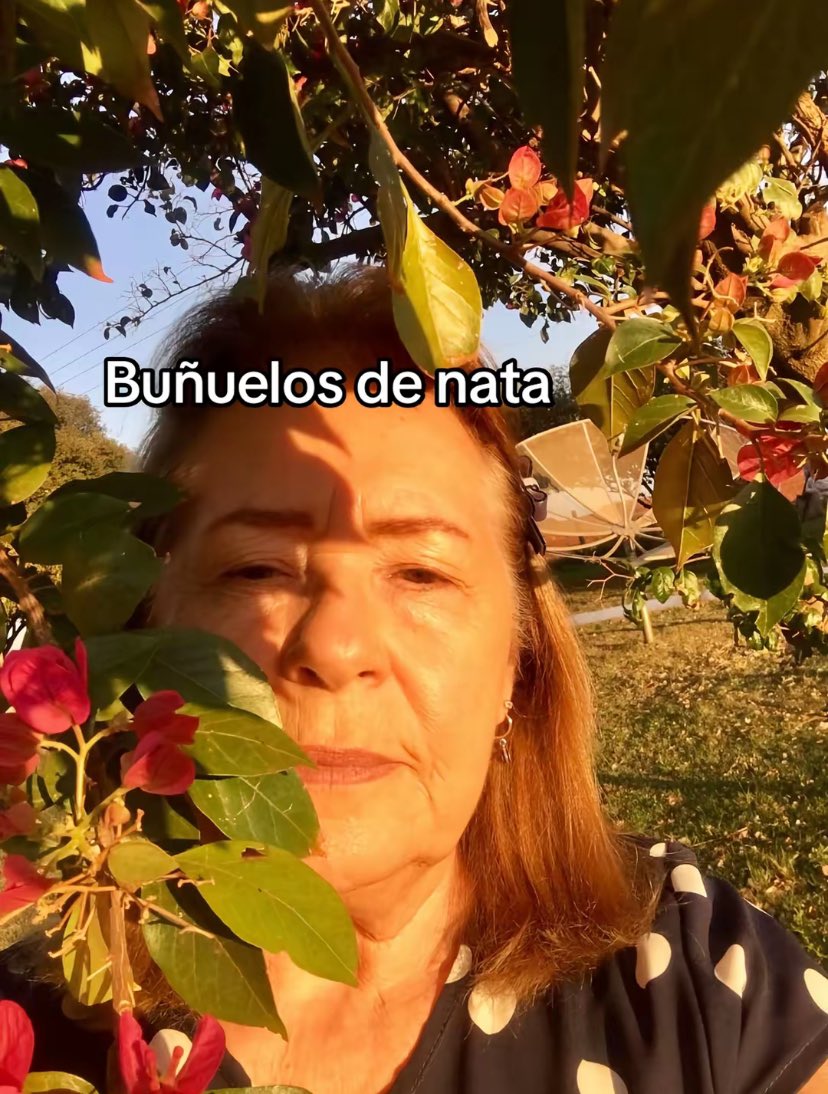 toilemediopollo's tweet photo. https://t.co/31dCbOse7b