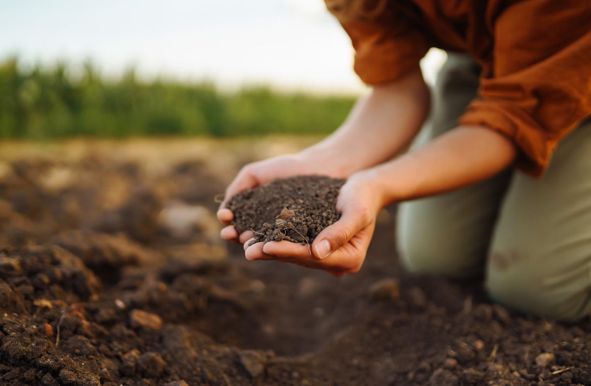 🌱 Saturday Soil Spotlight!
This weekend, take 5 mins to check your garden or community green space. Healthy soil = healthy food, clean air, &amp; a thriving planet. 
Join us in protecting UK soil for future generations.
#SafeSoilUK #SoilSavesLives #SoilSaturday #RegenerateNature