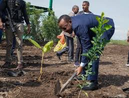 Ethiopia’s #GreenLegacy redefines climate action, ensuring food security and a greener tomorrow. #GreenEthiopia #ClimateAction #GreenLegacy