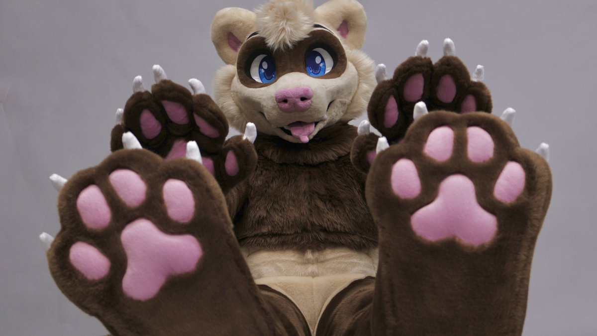 starbrightsuits's tweet image. Annnd he’s done! 🥳

Welcome Dook the ferret to the Starbright fursuit family 🌟

The cutie is our 2nd ferret and we are so happy to bring him to life! More photos below 👀👇