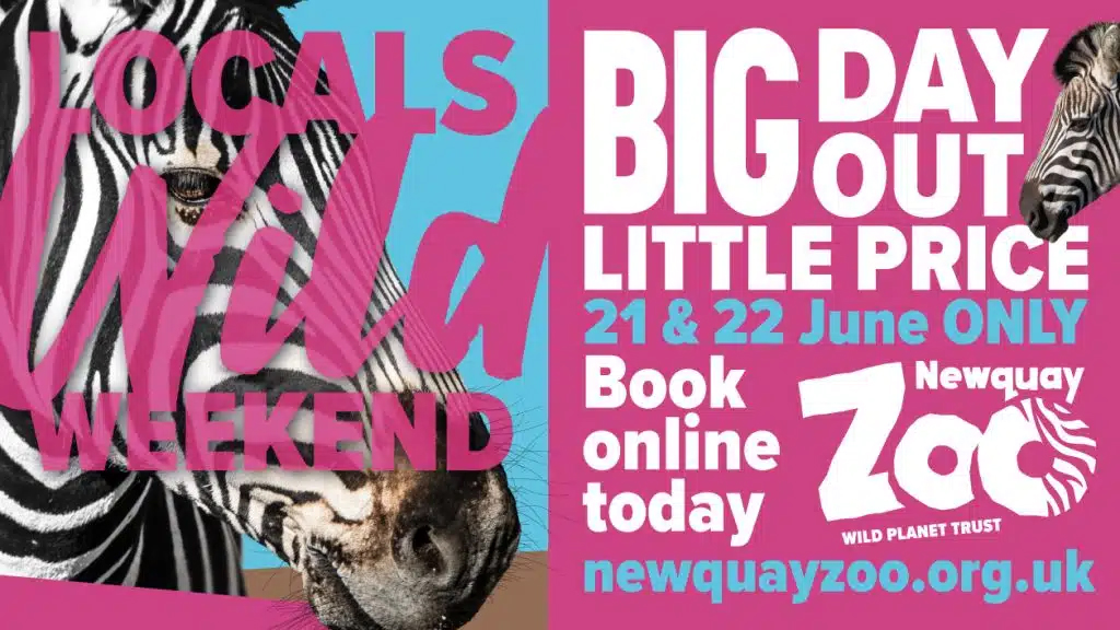Seymac Distribution (@seymac_d) on Twitter photo Saturday 21 & Sunday 22 June 2025
Calling all Cornwall residents! Join us for a Locals Wild Weekend <a href="/NewquayZoo/">Newquay Zoo</a> with special discounted entry – just £7.50 for adults and £5 for children (that’s £25 for a family of four!). mailchi.mp/seymacdistribu… Saturday 21 & Sunday 22 June 2025
Calling all Cornwall residents! Join us for a Locals Wild Weekend <a href="/NewquayZoo/">Newquay Zoo</a> with special discounted entry – just £7.50 for adults and £5 for children (that’s £25 for a family of four!). mailchi.mp/seymacdistribu…