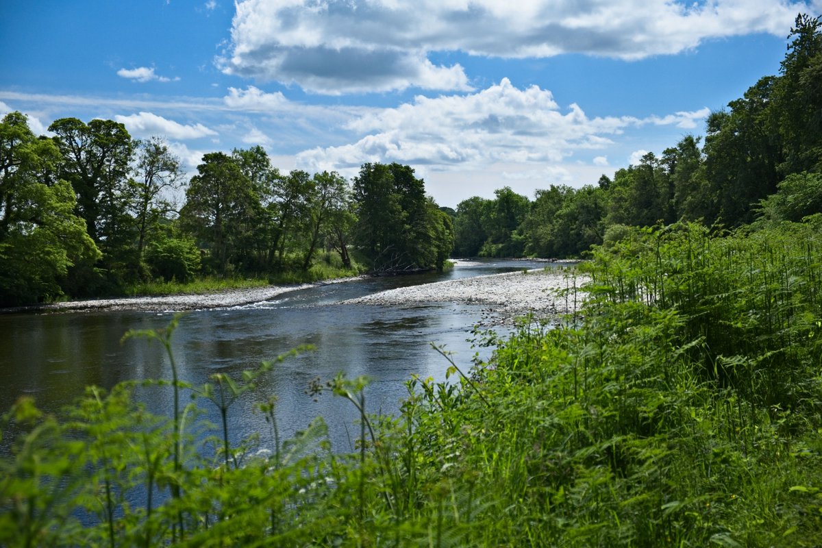 Burns_Ellisland's tweet image. Wake up by the River Nith, just as Burns did.
Auld Acquaintance Cottage offers the perfect base for walks, wildlife, and inspiration.
Availability this summer – perfect for couples or solo explorers.  ellislandfarm.co.uk/visit/stay/
#BurnsCountry #TimeToUnwind#scotlandstartshere