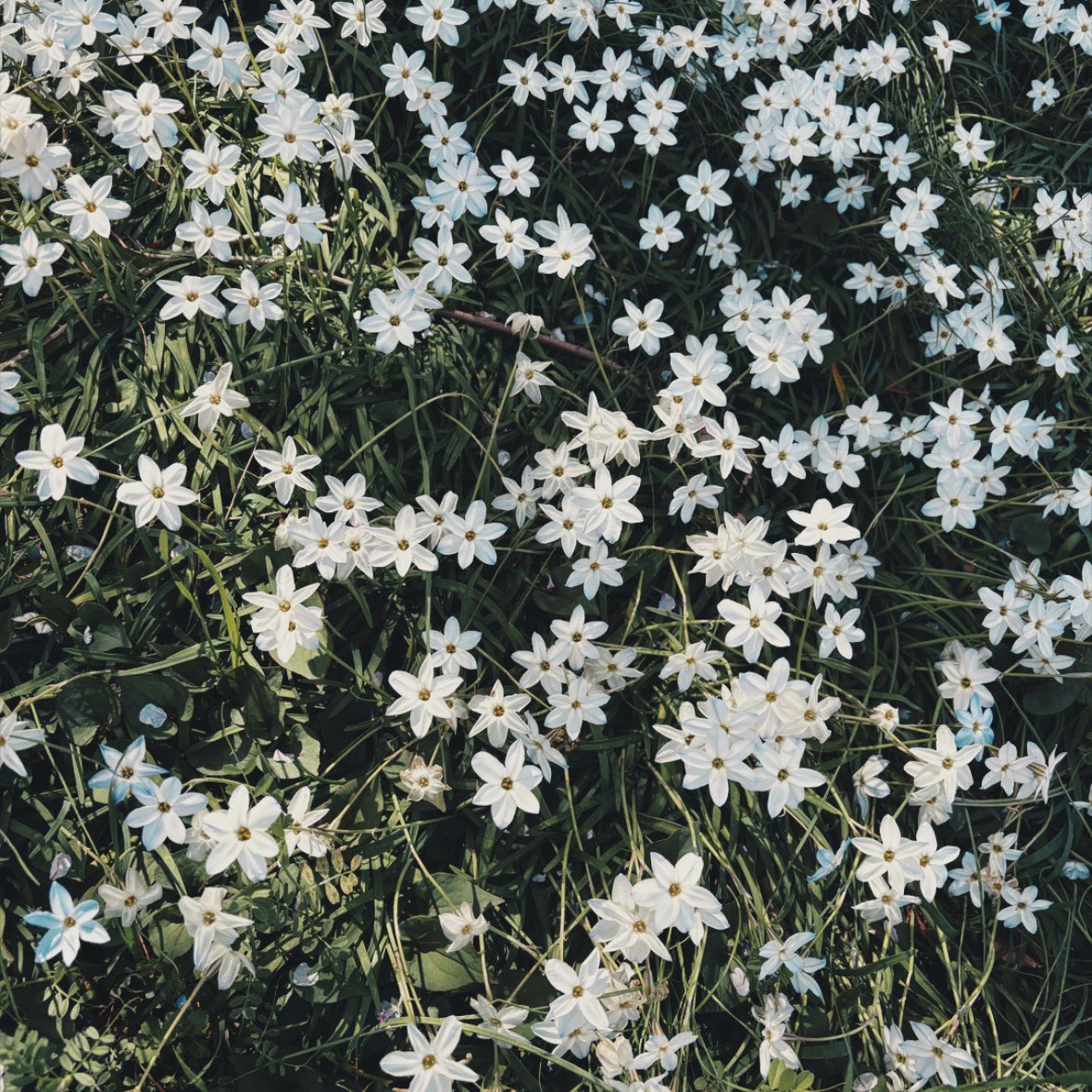 【リリース情報】
新曲「天井」配信リリースしました
初めての弾き語り音源です
ぜひ

linkco.re/QTXvFfRd