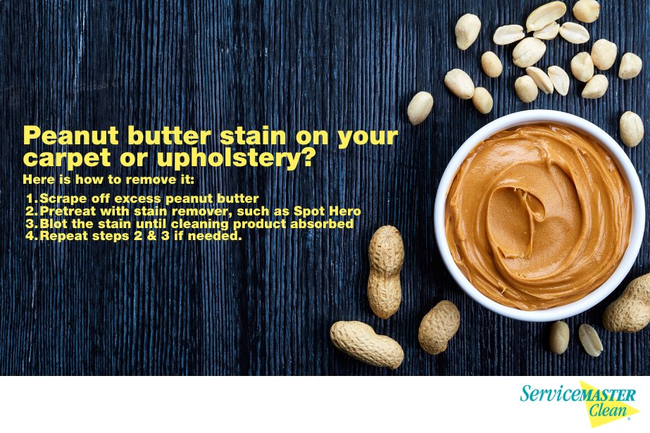When peanut butter spills on carpets or upholstery, it can quickly make a mess! Follow these 3 steps to remove the ooey-gooey treat and prevent stains from setting. #peanutbutter #carpetcleaning #hometips