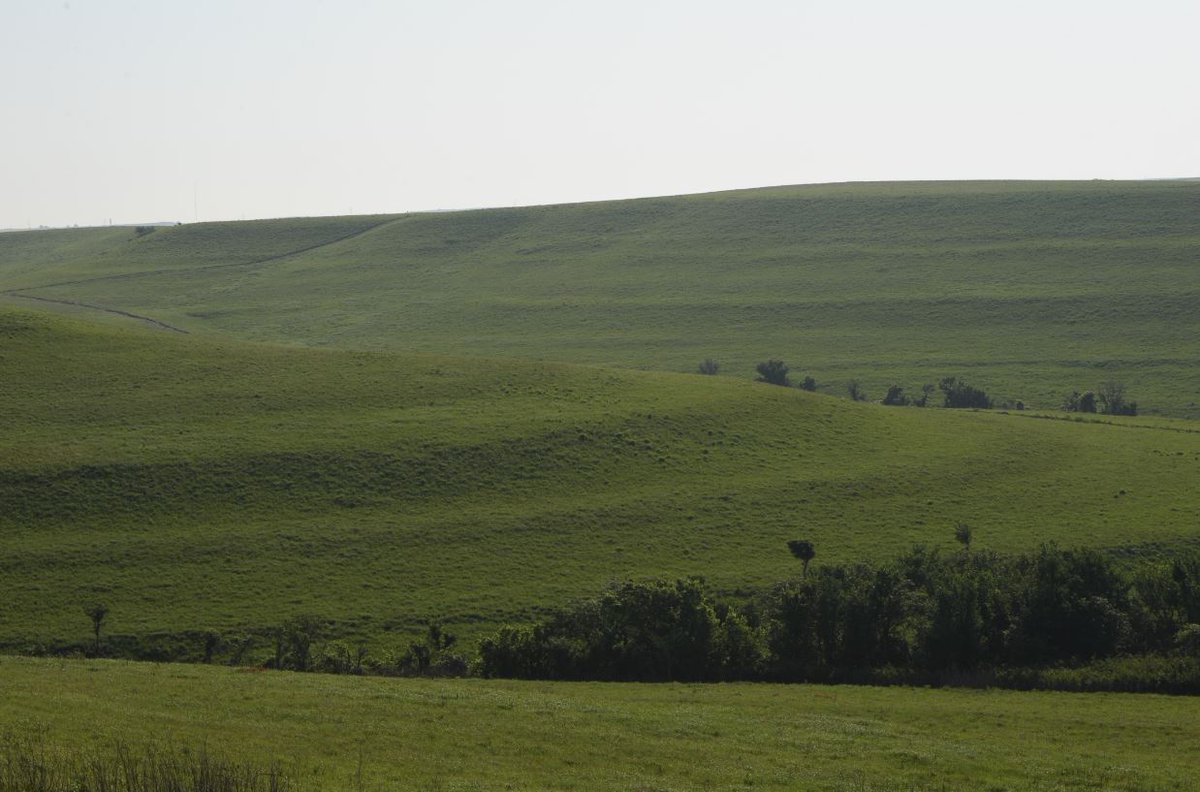 K-State Research and Extension (@kstatere) on Twitter photo On #AgToday: 
• Reducing Mosquitoes
• Elevation of Extension, Part 1
• Elevation of Extension, Part 2
agtodayksu.libsyn.com/1957-getting-a… On #AgToday: 
• Reducing Mosquitoes
• Elevation of Extension, Part 1
• Elevation of Extension, Part 2
agtodayksu.libsyn.com/1957-getting-a…