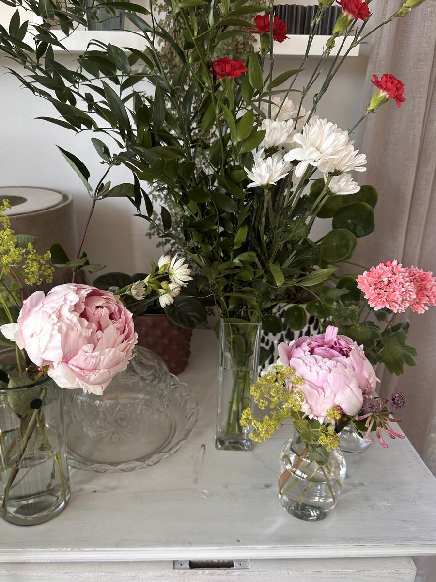 Harvest from the 🪴 🪏