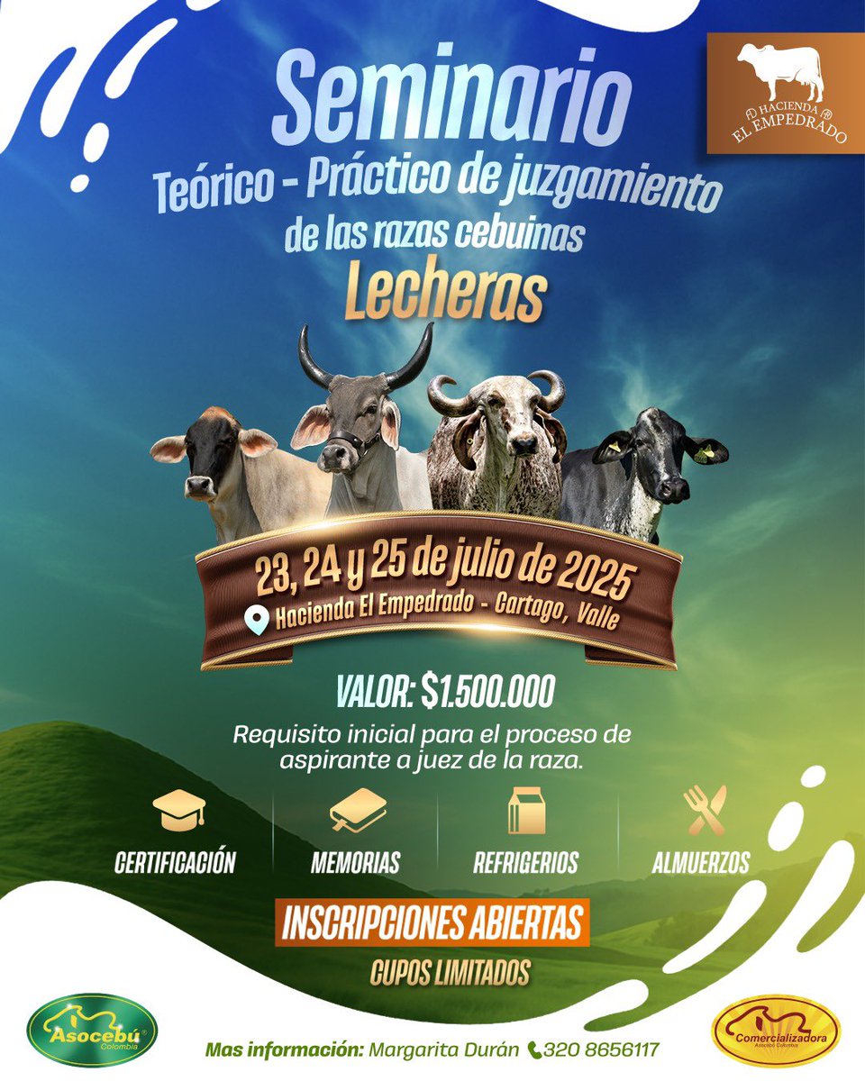 🧠 Detrás de cada juez hay horas de práctica, técnica y formación.
Este seminario es el primer paso para quienes aspiran a ejercer con rigor, criterio y respaldo.

📆 23 al 25 de julio | Cartago, Valle
📲 Info e inscripciones: Margarita Durán – 320 865 6117