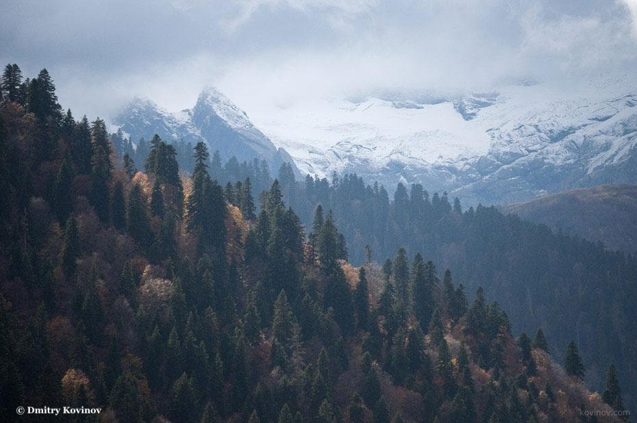 Russia 🇷🇺 (@russia) on Twitter photo 🌍 Happy #WorldWalkingDay!
🇷🇺 Russia is a trekker’s paradise — from endless forest trails to stunning alpine hikes. The Caucasus is a stand out, especially routes around #Sochi’s Krasnaya Polyana.
🚠 Take a lift up at <a href="/polyanaski/">ГТЦ «Газпром»</a> and walk the clouds — stunning views guaranteed! 🌍 Happy #WorldWalkingDay!
🇷🇺 Russia is a trekker’s paradise — from endless forest trails to stunning alpine hikes. The Caucasus is a stand out, especially routes around #Sochi’s Krasnaya Polyana.
🚠 Take a lift up at <a href="/polyanaski/">ГТЦ «Газпром»</a> and walk the clouds — stunning views guaranteed!