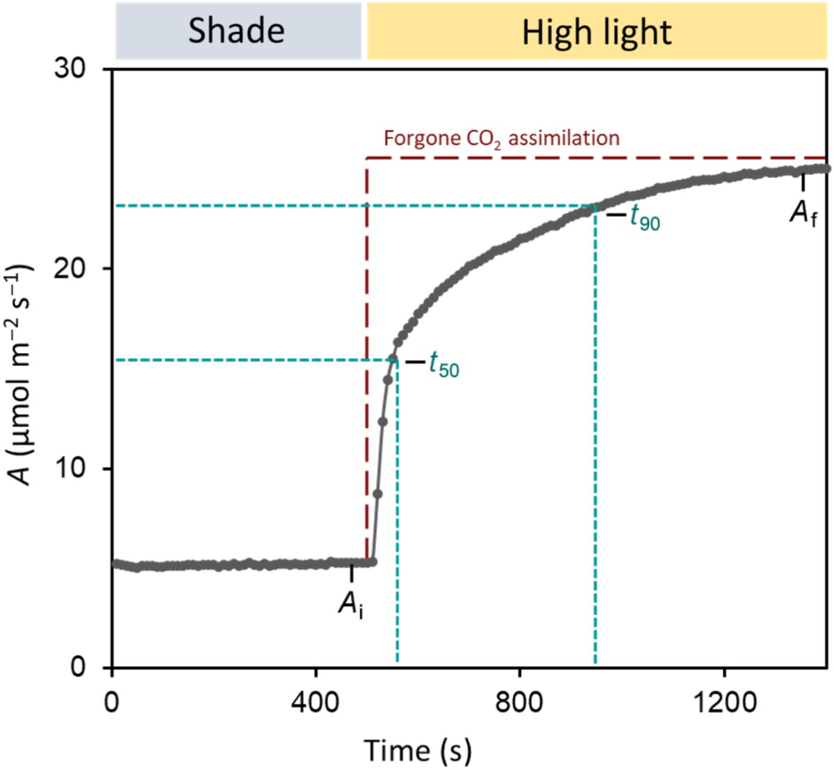 New Phytologist (@newphyt) on Twitter photo A guide to understanding and measuring photosynthetic induction: considerations and recommendations
A #CommunityResource by Liana Acevedo-Siaca & Lorna McAusland
👇
📖 nph.onlinelibrary.wiley.com/doi/10.1111/np…
#LatestIssue <a href="/wileyplantsci/">Wiley Plant Science</a> A guide to understanding and measuring photosynthetic induction: considerations and recommendations
A #CommunityResource by Liana Acevedo-Siaca & Lorna McAusland
👇
📖 nph.onlinelibrary.wiley.com/doi/10.1111/np…
#LatestIssue <a href="/wileyplantsci/">Wiley Plant Science</a>