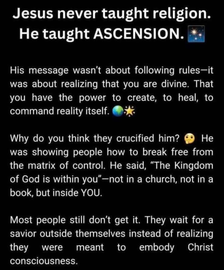 🧬Maxpein🧬 tweet media