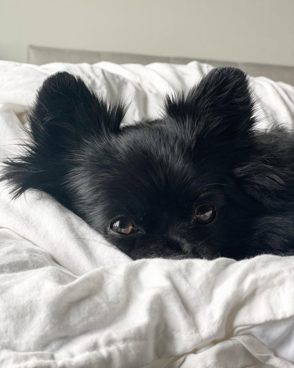 Ms_Signe_'s tweet image. 