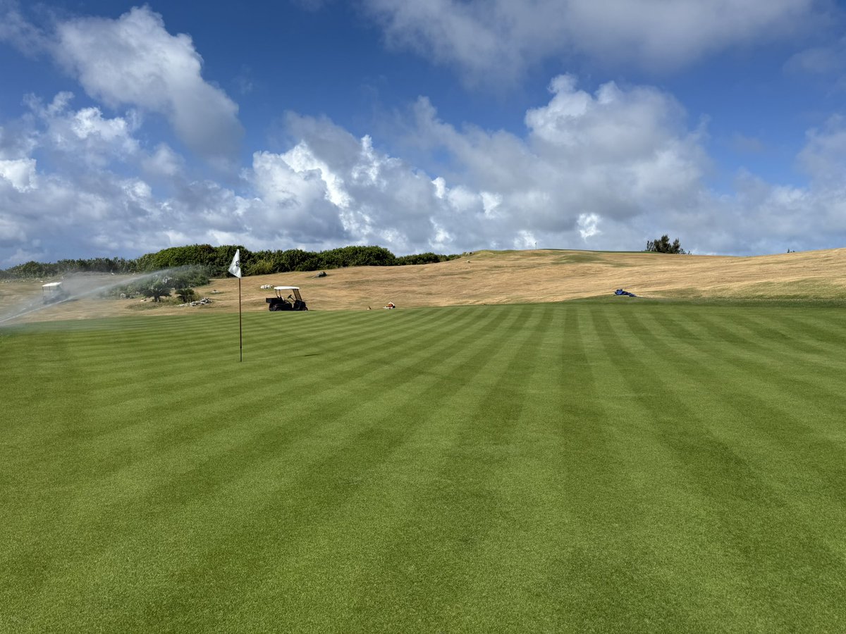 KB 🇧🇲 🇺🇸 (@societyofsupers) on Twitter photo One year in with the Pure Dynasty Paspalum trial and the grass continues to exceed expectations! <a href="/atlasturf/">Atlas Turf</a> One year in with the Pure Dynasty Paspalum trial and the grass continues to exceed expectations! <a href="/atlasturf/">Atlas Turf</a>