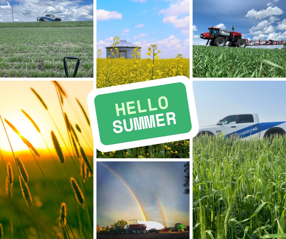 Happy First Day of Summer! 🌞🌻🏖
#DYK that the first day of summer, or the Summer Solstice, is the longest day of the year?
#FunFact the word Solstice comes from the Latin words Sol meaning "sun" and Sistere meaning "to stand still".
#SynergyAg #Summer #rootsyoucancounton