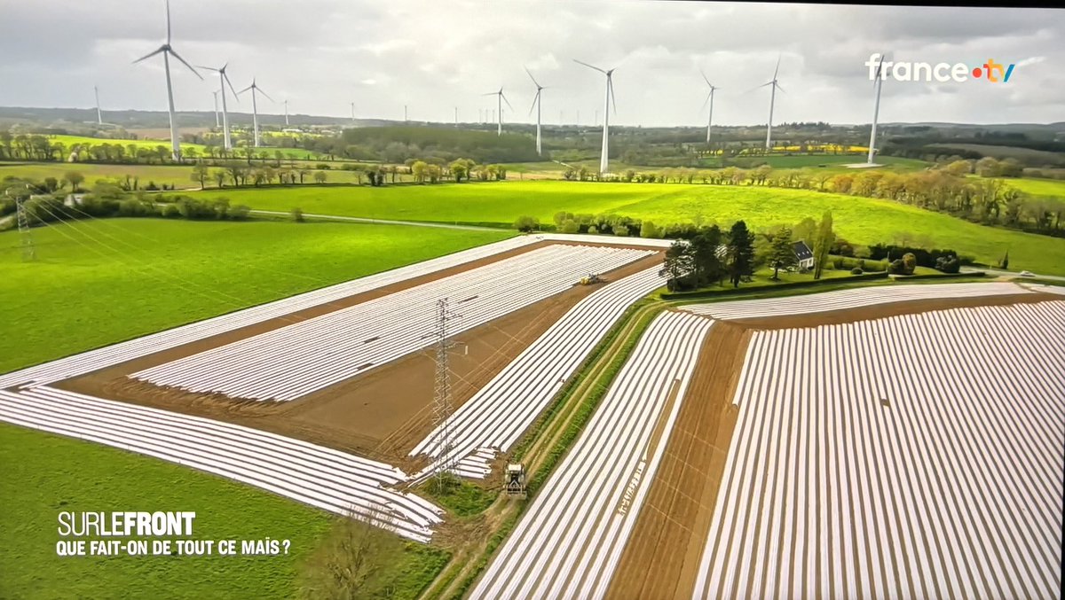 Tout le monde a pu voir dans l’émission « sur le front » de nombreux fake news, et notamment cette image d’un sol, couvert de plastique qui a horrifié notre journaliste « préféré » et son acolyte agricultrice bio. Personnellement, ce qui me choque le + ce sont les éoliennes. (1)