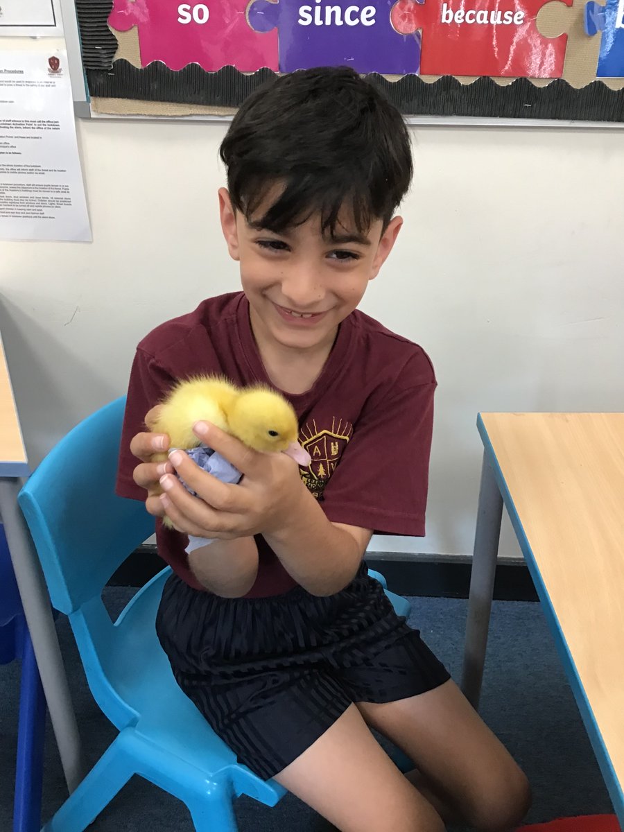 AVPA Year 4 tweet media