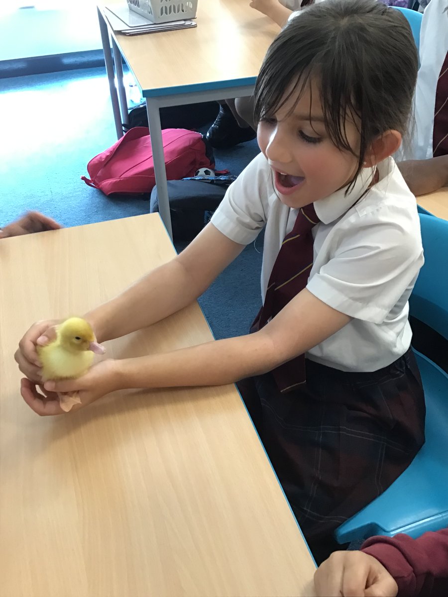 AVPA Year 4 tweet media