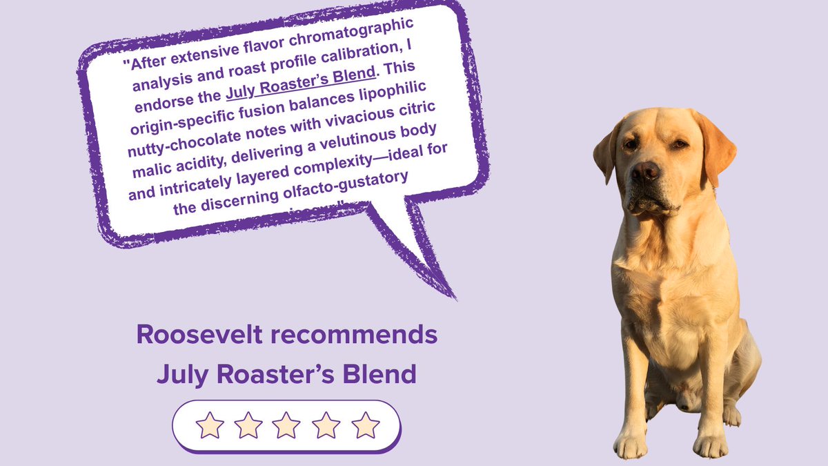 CoffeeDirect's tweet image. Roosevelt gives July’s Roaster’s Blend 5 stars. Trust the dog—he’s got refined taste. 🐾☕ #coffee