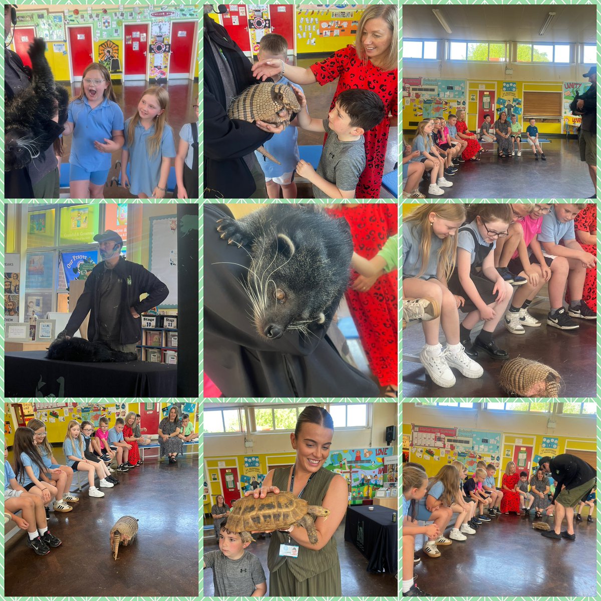 BCA St Aloysius Campus (@staloysiusrc) on Twitter photo Year 3 - Diolch <a href="/aandsanimals/">A&SAnimalEncounters</a> for a fantastic afternoon😄 We loved meeting and learning about some rainforest animals🌿🌴🐍🐢 Year 3 - Diolch <a href="/aandsanimals/">A&SAnimalEncounters</a> for a fantastic afternoon😄 We loved meeting and learning about some rainforest animals🌿🌴🐍🐢