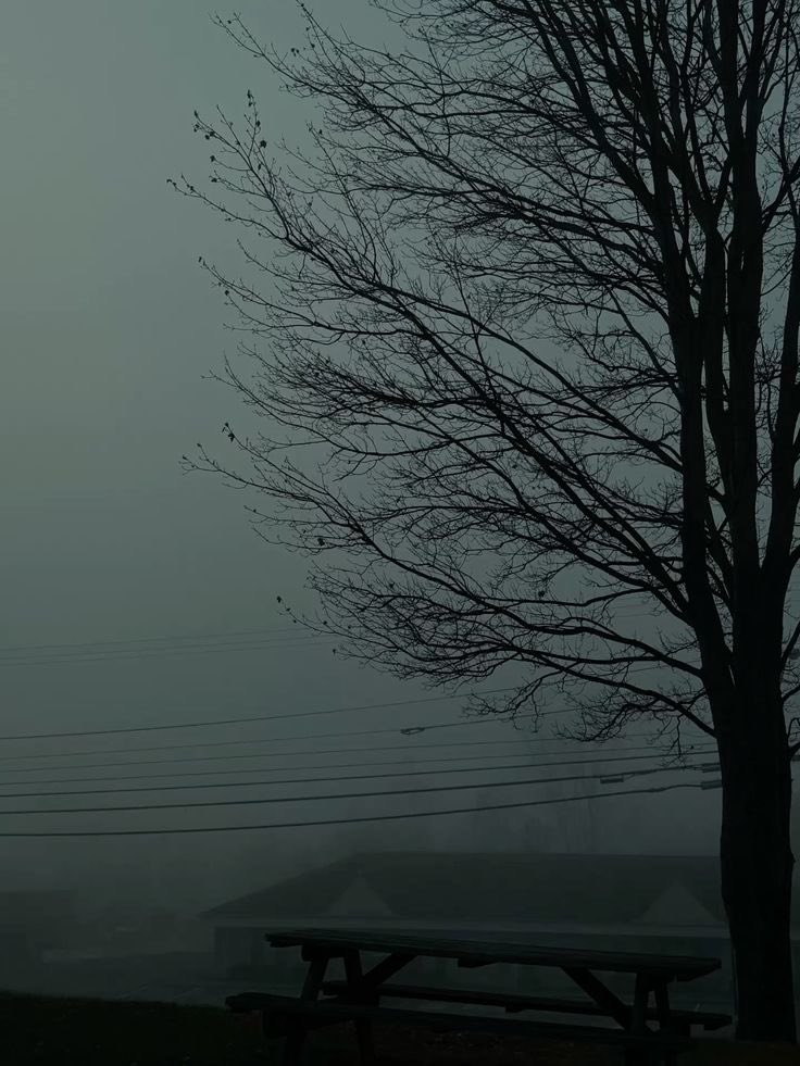 salt (@ancilladominii) on Twitter photo 