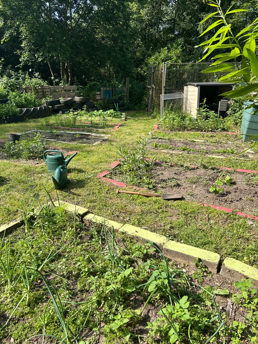 A great day on the allotment <a href="/tsas_norwich/">Thorpe St Andrew School and Sixth Form</a> <a href="/TSAS_CEW/">TSAS - CEW - 2025</a> looking forward to seeing the painting , birdboxes and planting tomorrow 💐🍓🍎🌱🥔